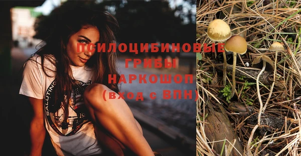 ECSTASY Покачи